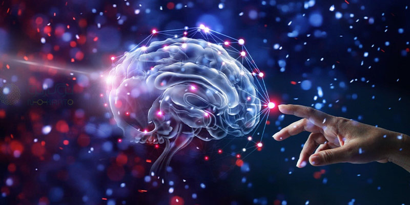 پیش‌بینی شباهت متن با استفاده از یک شبکه عصبی سیامی مبتنی بر شبکه عمیق و ویژگی‌های شباهت لغوی‬