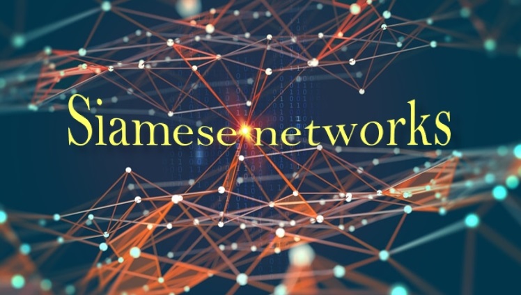 شبکه های سیامی Siamese Networks